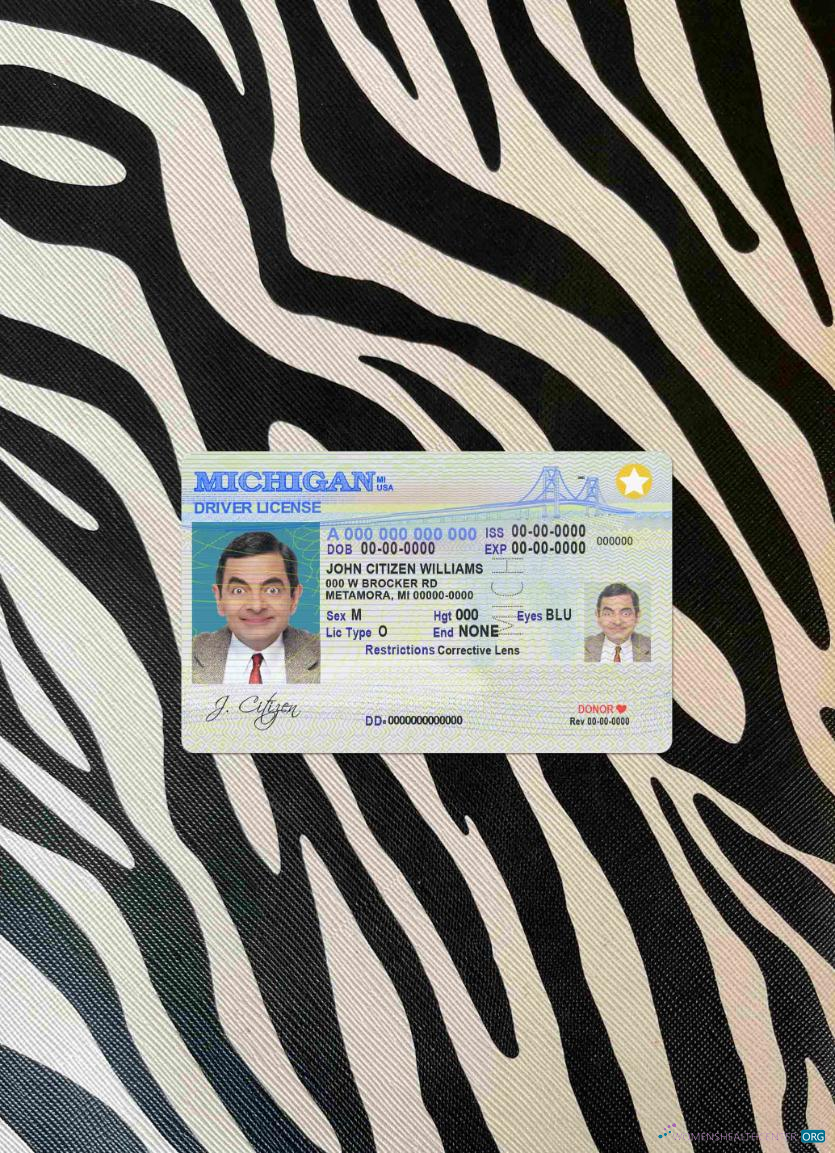 Download USA Michigan DL photolook FRONT Photoshop template